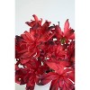 Botanica Stem Spray – 30"L Bendable EVA Foam Floral Accent in Red, Set of 6 by Kalalou - 3 of 3