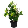 Northlight 1.9' Unlit Artificial Potted Bonsai-Style Green Apple Tree - 4 of 4