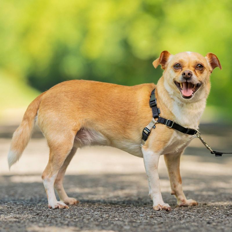 PetSafe Easy Walk Adjustable Dog Harness, 3 of 10