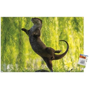 Trends International The Comedy Wildlife Photography Awards: Otter Kwek - Ballerina Unframed Wall Poster Prints - 1 of 4