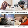 Allforpaws Little buddy--Heart Beat Simulator for Puppy Dog & Cat Beating Heart Toy - 4 of 4