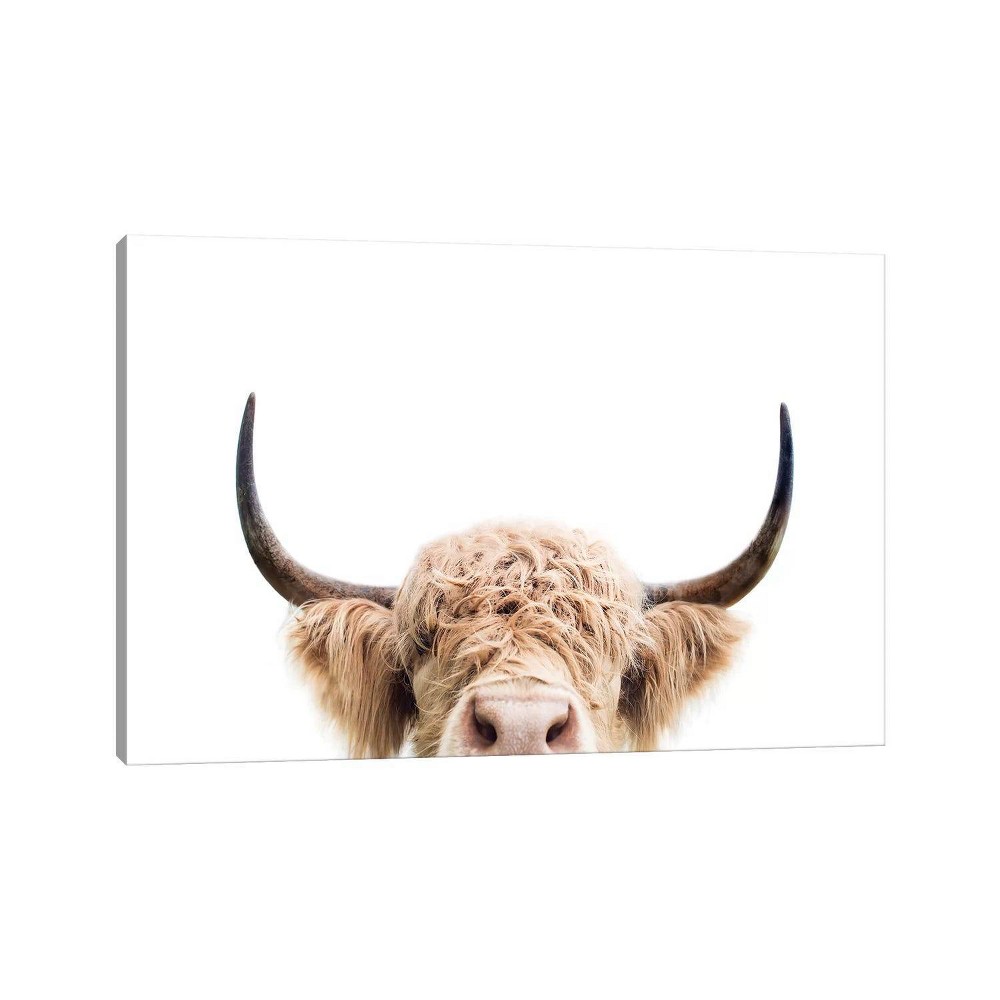 iCanvas 18"x26" Peeking Cow by Sisi and Seb Canvas Print Wall Art