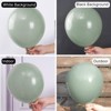 PartyWoo Balloons Dusty Green Matte Sage Eucalyptus 12 Inch 50 pcs - 2 of 4