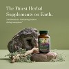 Gaia Herbs Black Cohosh - Menopause Support Supplement to Help Maintain Hormone Balance and Health for Women - 60 Vegan Liquid Phyto-Capsules - 3 of 4