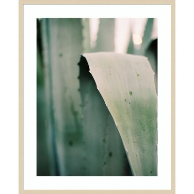 Succulent I Svelte Natural Framed Photography Wall Art