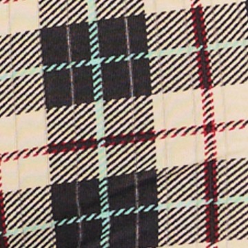 cozy bay plaid