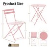 EROMMY Outdoor 3-Pc Bistro Set, Patio Dining Set, Foldable, Stainless Steel, Suitable for Patio, Balcony, Garden, Pool - Pink - 3 of 4