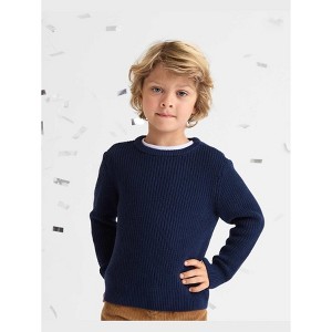 The Children's Place Baby Boys Long Sleeve Shaker Stitch Sweater - 1 of 3
