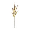 Melrose Seeded Plume Spray (Set of 12) - 2 of 3