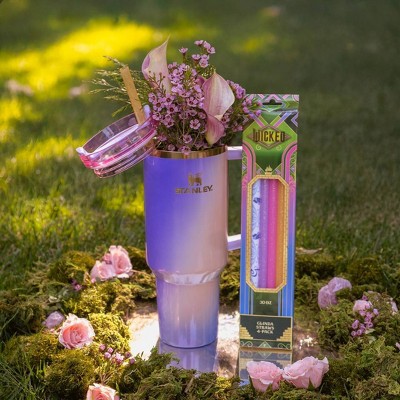 (Total 3 packs 12 straws)CharCharms 4pk 20oz, 30oz, 40oz Water Bottle Straws Wicked 2 Glinda
