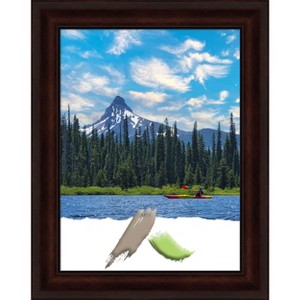 Amanti Art Coffee Bean Brown Picture Frame - 1 of 4