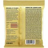 Ernie Ball Earthwood Silk and Steel Extra Soft 80/20 Bronze Acoustic Guitar Strings 3 Pack 10 - 50 - 2 of 2
