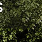 1200 lbs load capacity | black + orange