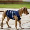 NFL Dallas Cowboys Soothing Solution Pets Vest - image 4 of 4