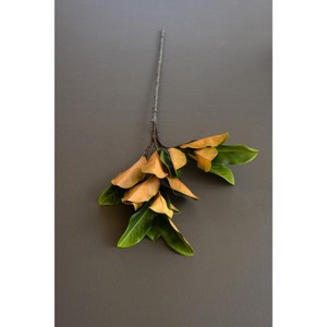 Artificial Magnolia Leaves Spray 40"L – Lush Greenery Stem, Set of 6 by Kalalou - 1 of 3