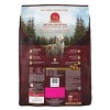 Purina ONE SmartBlend True Instinct Natural Real Turkey & Venison Flavor Dry Dog Food - 3 of 4