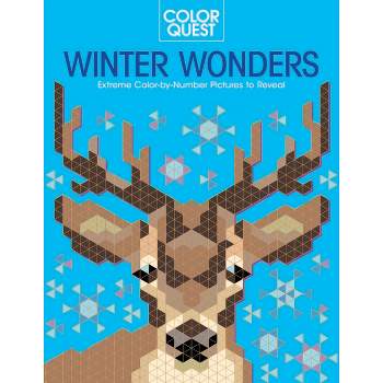 Color Quest: Winter Wonders - by  Daniela Geremia (Paperback)