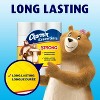 Charmin Essentials Strong Toilet Paper 12 Mega Rolls, 429 sheets per roll - 3 of 4