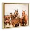 Stupell Industries Horse & Foals Photography, 21" x 17" - 3 of 4