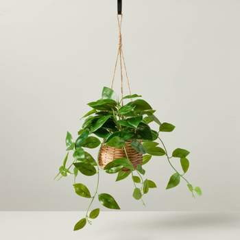 9" Faux Hoya Hanging Plant - Hearth & Hand™ with Magnolia