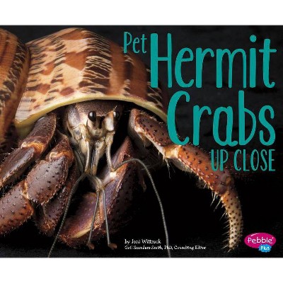 Pet Hermit Crabs Up Close - (Pets Up Close) by  Jeni Wittrock (Paperback)