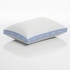 Sealy King 2pk Extra Firm Maintains Shape Pillow - 2 of 4