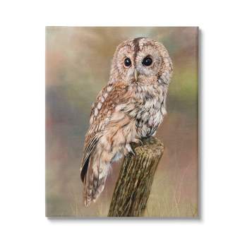 Stupell Industries Brown Tawny Owl Perched Gallery Wrapped Canvas Wall Art