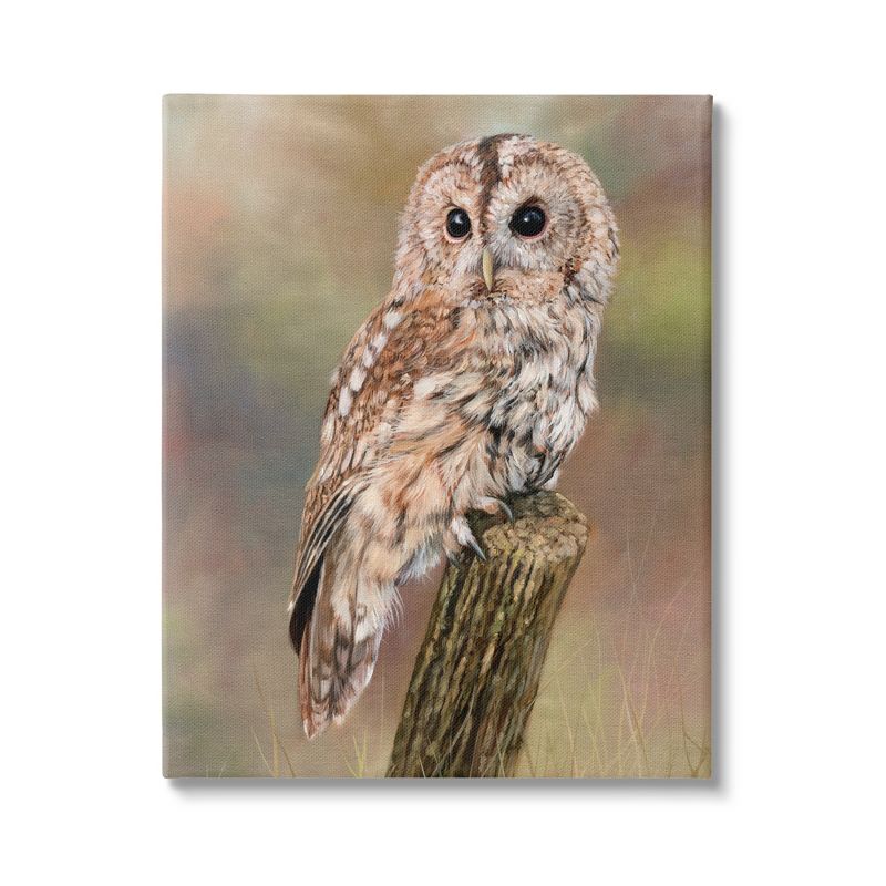 Stupell Industries Brown Tawny Owl Perched Gallery Wrapped Canvas Wall Art, 1 of 5