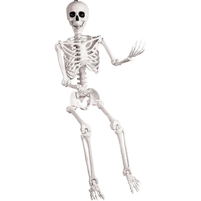 Halloween Express  5 ft Skeleton Pose & Hold Decoration, 4 of 7