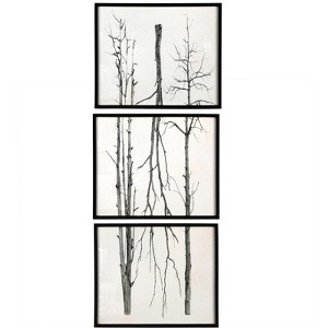 Storied Home Wood Framed Branch Artwork, Black (Set of 3) - 1 of 4