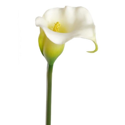 Floral Home 27" White Calla Lily - 24-Piece