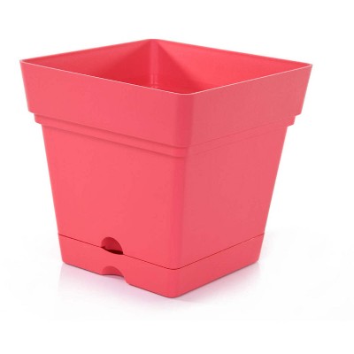 Mintra Garden - 6.75in Square Garden Pot