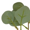 Faux Foliage Eucalyptus - Bullseye's Playground™ - 3 of 3