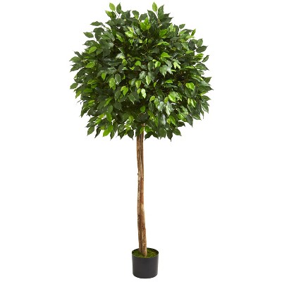 HomeStock  5.5 ft. Artificial Ficus Tree in Pot for Indoor/Outdoor