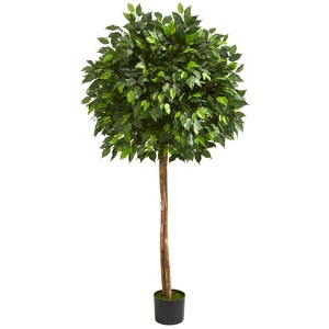 HomeStock  5.5 ft. Artificial Ficus Tree in Pot for Indoor/Outdoor - 1 of 3