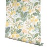 Rifle Paper Co. Amalfi Peel and Stick Wallpaper Soft White - image 3 of 4