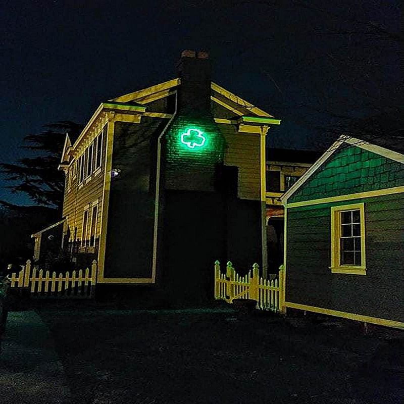 Novelty Lights 24" Green St. Patrick's Day Shamrock LED Rope Light Motif, 3 of 5
