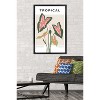 Trends International Botanical - Tropical Framed Wall Poster Prints - 2 of 4