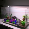 Unique Bargains Aquarium Plastic Plants Tree for Goldfish Tank Landscape Decoration 1.97" 20 Pcs - 2 of 4