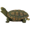 Design Toscano Sprinkle the Turtle Piped Spitter Statue - 4 of 4