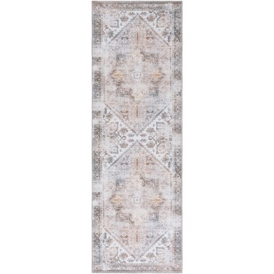 Tucson Vintage Persian TSN102 Power Loomed Machine Washable Skid-Resistant Indoor Rugs - Safavieh