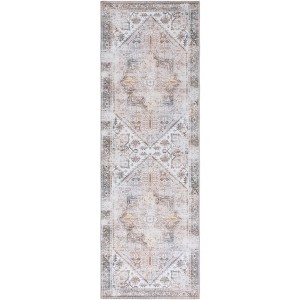 Tucson Vintage Persian TSN102 Power Loomed Machine Washable Skid-Resistant Indoor Rugs - Safavieh - 1 of 4