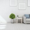 NicBex Artificial Tree 2pcs Faux Decorative Plants 0.75FT Artificial Three Branches of Milanwort Home Decor for Living Room, Foyer - 4 of 4