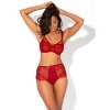 Smart & Sexy Women's Plus Size Retro Lace & Mesh Unlined Underwire Bra - 3 of 4