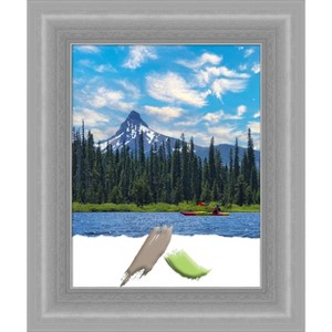 Amanti Art Peak Polished Nickel Narrow Picture Frame - 1 of 4