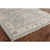 Rugs America Elise Oriental Transitional Area Rug - 3 of 4