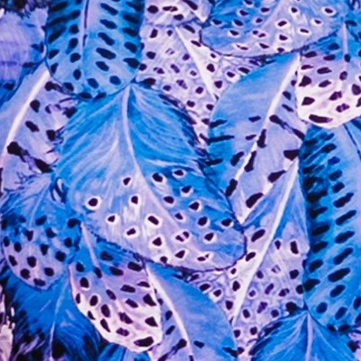 purple feathers