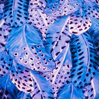 purple feathers