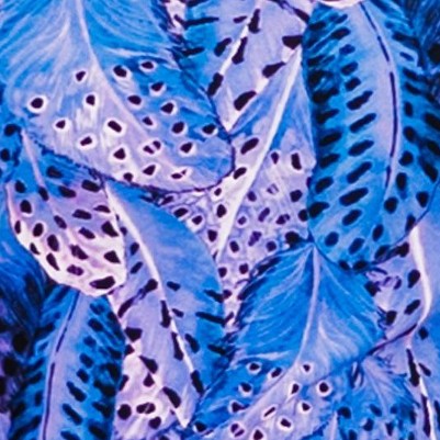purple feathers