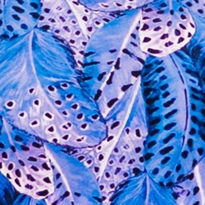 purple feathers